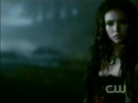 TVD1007.jpg