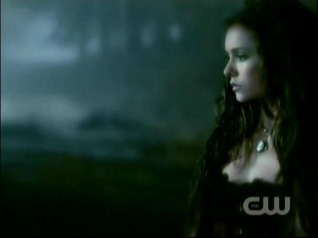 TVD1008.jpg