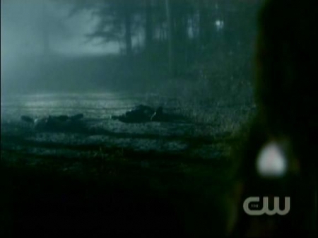 TVD1009.jpg