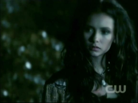 TVD1011.jpg