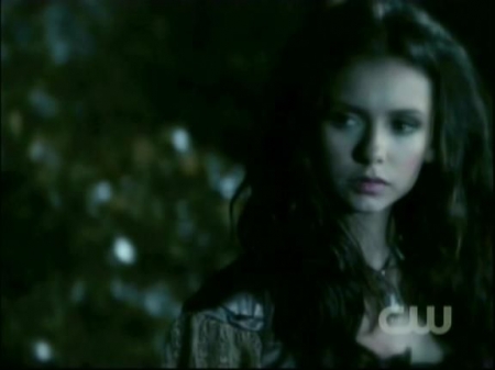 TVD1012.jpg