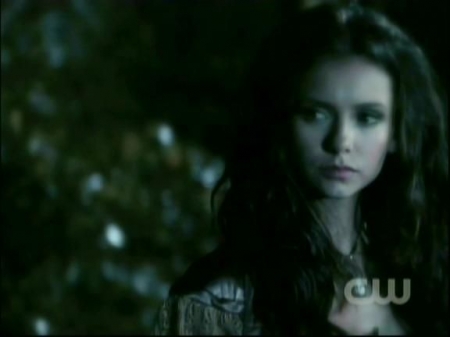 TVD1013.jpg