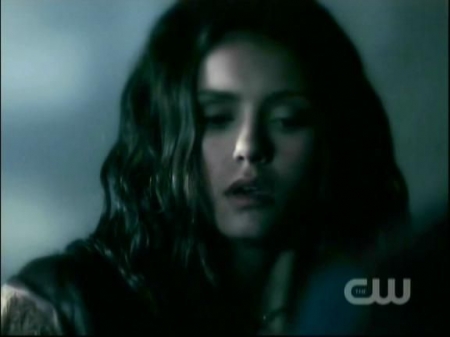 TVD1018.jpg