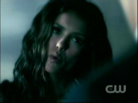 TVD1019.jpg