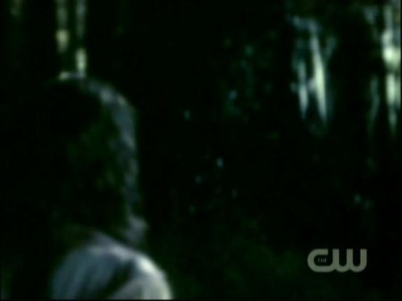 TVD1031.jpg