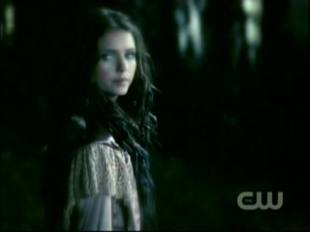 TVD1033.jpg