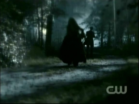 TVD1035.jpg