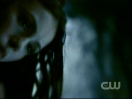 TVD1036.jpg