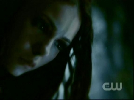 TVD1037.jpg