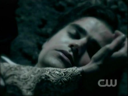 TVD1038.jpg
