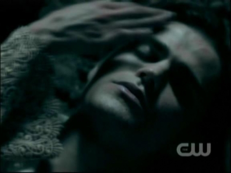 TVD1039.jpg