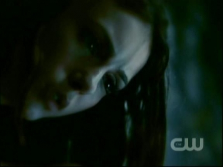 TVD1040.jpg