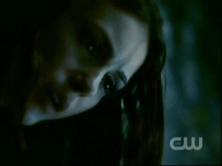 TVD1041.jpg
