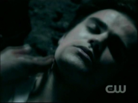 TVD1042.jpg