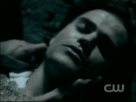 TVD1043.jpg
