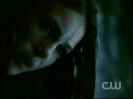 TVD1044.jpg