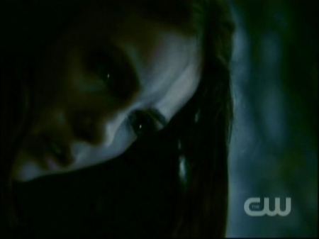 TVD1045.jpg