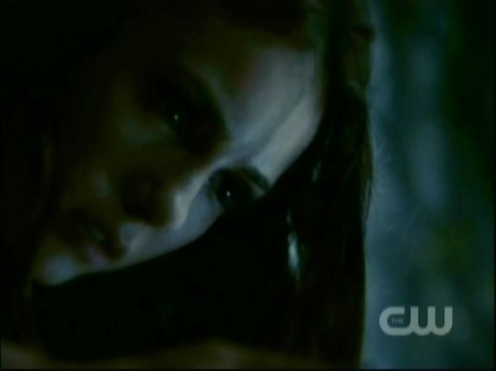TVD1046.jpg