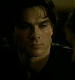 TVD0123.jpg