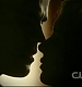 TVD0270.jpg