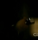 TVD0273.jpg