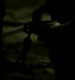 TVD0283.jpg