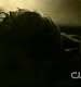 TVD0311.jpg