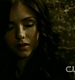 TVD0431.jpg