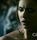 TVD0497.jpg