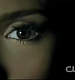 TVD0517.jpg