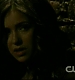 TVD0530.jpg