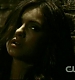 TVD0533.jpg