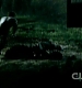 TVD0657.jpg