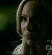 TVD0719.jpg