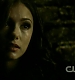 TVD0733.jpg