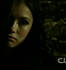 TVD0739.jpg