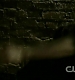 TVD0762.jpg