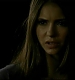 TVD0802.jpg