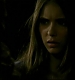 TVD0805.jpg