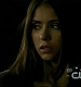TVD0816.jpg