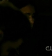 TVD0883.jpg