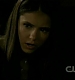 TVD0891.jpg