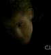 TVD0900.jpg