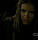 TVD0917.jpg