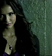TVD0931.jpg