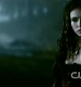 TVD1007.jpg