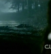 TVD1009.jpg