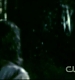 TVD1031.jpg