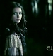 TVD1033.jpg