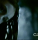 TVD1036.jpg